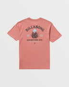 A/Div Agave Tee - Dusty Rose