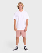 Crossfire Elastic Wave Washed 18 Amphibian Hybrid Shorts - Ash Rose